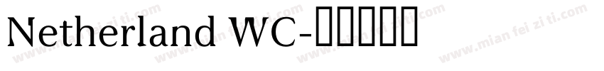 Netherland WC字体转换